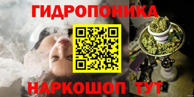 ешки Новодвинск