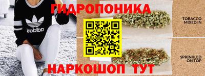хмурый Нарткала
