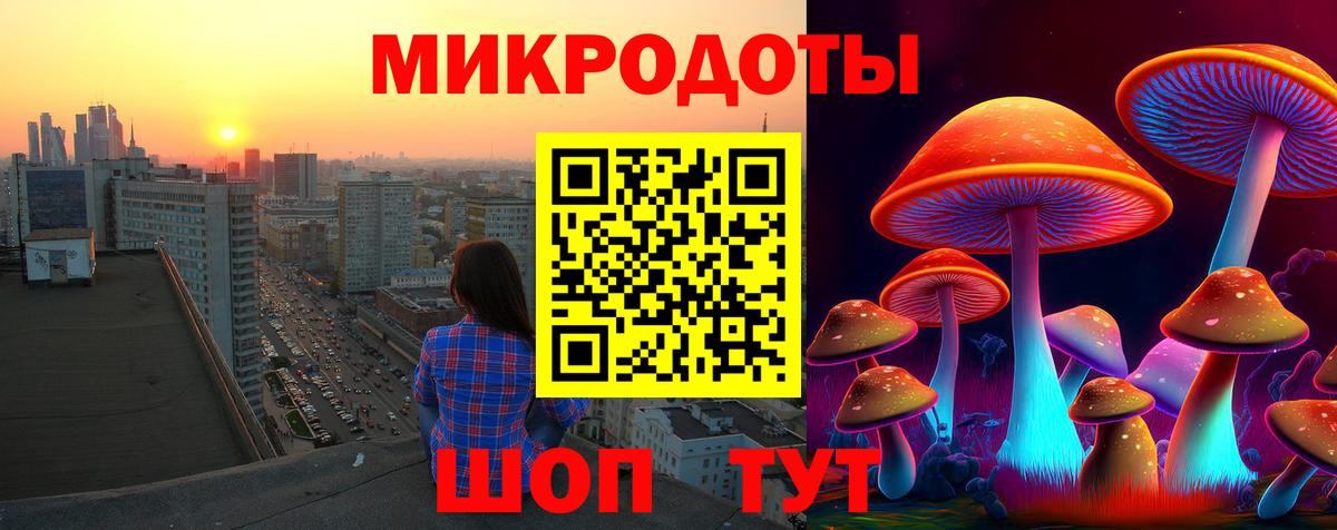 Псилоцибиновые грибы Psilocybine cubensis  как найти закладки  Вход с VPN  Тверь  Псилоцибиновые грибы Psilocybe 