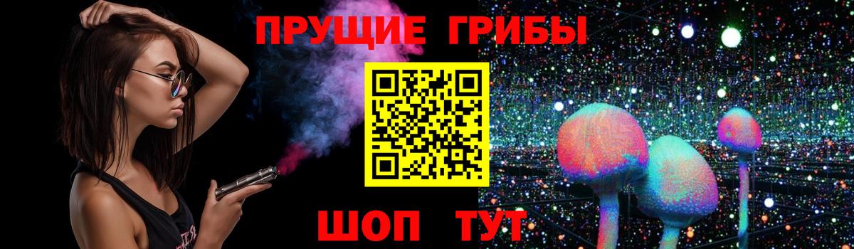 Галлюциногенные грибы Psilocybe Тверь
