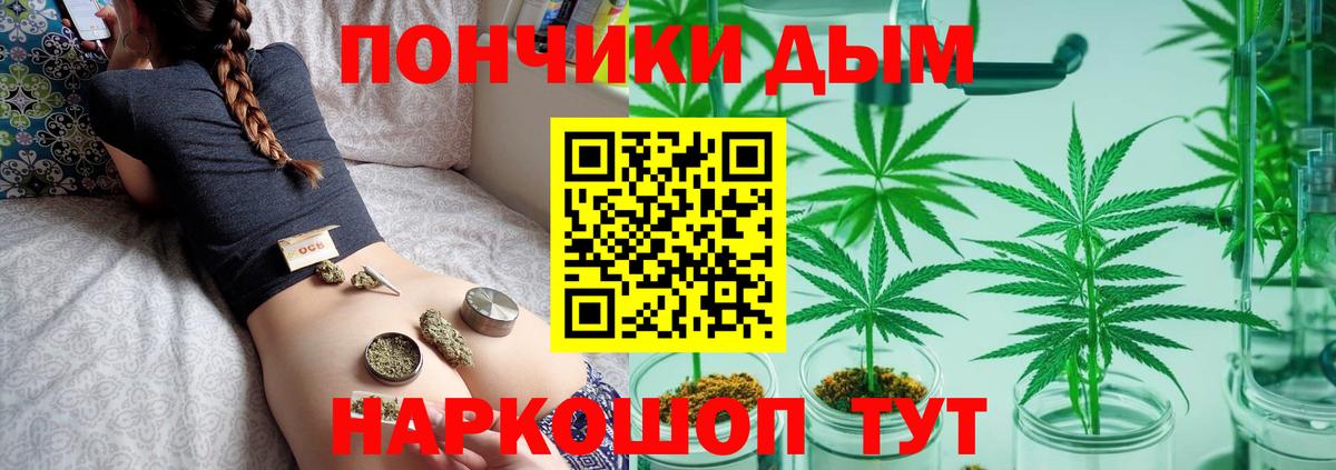 Бошки марихуана планчик Тверь